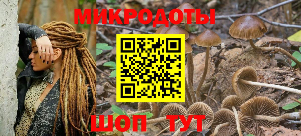 Псилоцибиновые грибы Magic Shrooms  Вход с VPN  Изобильный 